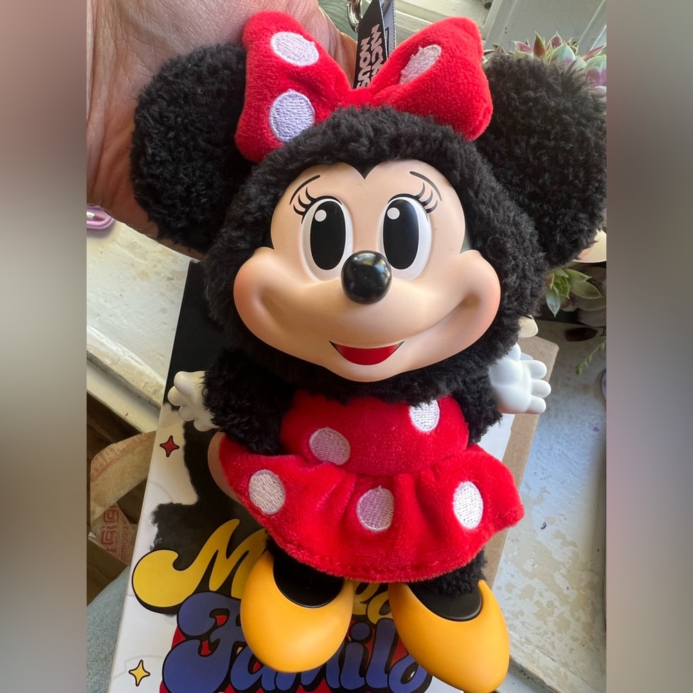 Mini Mickey family cute together
